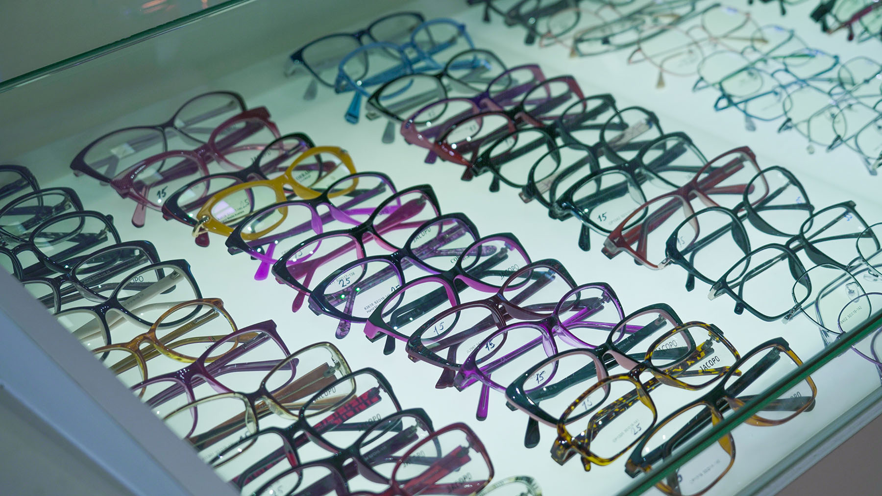 Туяа Оптик дотор